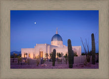Load image into Gallery viewer, Tucson Cactus Morning
