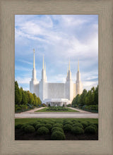 Load image into Gallery viewer, Washington DC Blue

