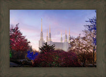 Load image into Gallery viewer, Washington DC Christmas Morning
