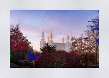 Load image into Gallery viewer, Washington DC Christmas Morning
