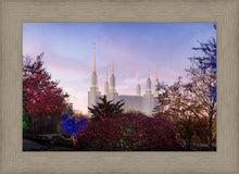 Load image into Gallery viewer, Washington DC Christmas Morning
