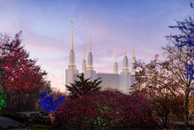 Load image into Gallery viewer, Washington DC Christmas Morning
