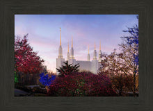 Load image into Gallery viewer, Washington DC Christmas Morning
