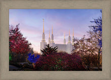 Load image into Gallery viewer, Washington DC Christmas Morning
