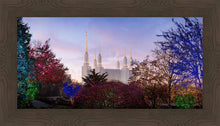 Load image into Gallery viewer, Washington DC Christmas Morning
