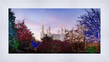 Load image into Gallery viewer, Washington DC Christmas Morning
