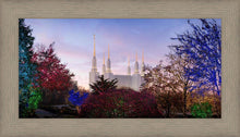 Load image into Gallery viewer, Washington DC Christmas Morning
