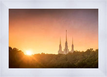 Load image into Gallery viewer, Washington DC Sunset Gold
