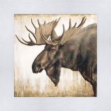 Load image into Gallery viewer, Majesty
