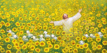 Load image into Gallery viewer, Be Glad and Rejoice
