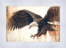 Load image into Gallery viewer, Liberty
