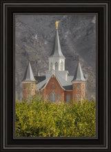 Load image into Gallery viewer, Provo City Center
