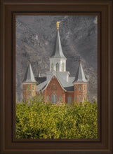 Load image into Gallery viewer, Provo City Center
