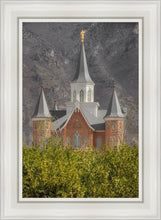 Load image into Gallery viewer, Provo City Center
