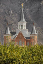 Load image into Gallery viewer, Provo City Center
