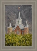 Load image into Gallery viewer, Provo City Center
