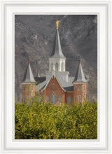 Load image into Gallery viewer, Provo City Center
