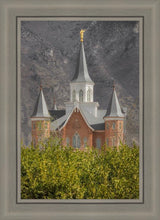 Load image into Gallery viewer, Provo City Center
