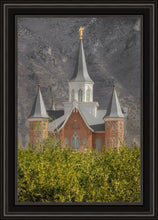 Load image into Gallery viewer, Provo City Center
