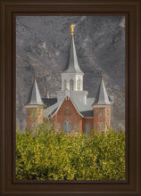 Load image into Gallery viewer, Provo City Center

