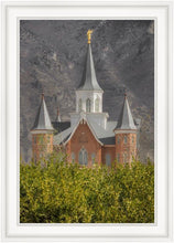 Load image into Gallery viewer, Provo City Center
