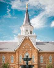 Load image into Gallery viewer, Provo City Center Temple Living and Flowing Waters
