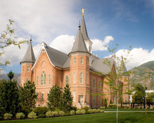 Load image into Gallery viewer, Provo City Center Temple Restored Walls
