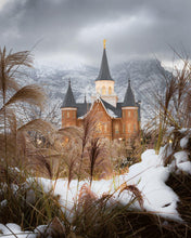 Load image into Gallery viewer, Provo City Center Winter Warmth
