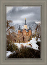 Load image into Gallery viewer, Provo City Center Winter Warmth
