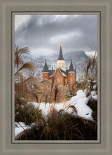 Load image into Gallery viewer, Provo City Center Winter Warmth
