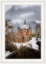 Load image into Gallery viewer, Provo City Center Winter Warmth
