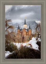 Load image into Gallery viewer, Provo City Center Winter Warmth
