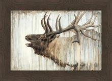 Load image into Gallery viewer, Nature's Art
