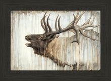 Load image into Gallery viewer, Nature's Art
