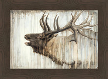 Load image into Gallery viewer, Nature's Art
