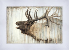 Load image into Gallery viewer, Nature's Art
