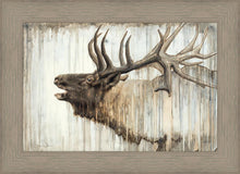 Load image into Gallery viewer, Nature's Art

