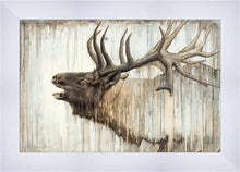 Load image into Gallery viewer, Nature's Art
