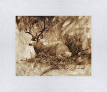 Load image into Gallery viewer, Bedded Buck
