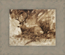 Load image into Gallery viewer, Bedded Buck
