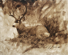 Load image into Gallery viewer, Bedded Buck

