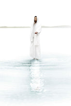 Load image into Gallery viewer, Come and see Blue Vertical
