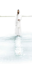 Load image into Gallery viewer, Come and see Blue Vertical
