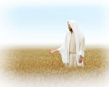 Load image into Gallery viewer, Lord of the Harvest
