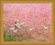Load image into Gallery viewer, Shepherd's Rest
