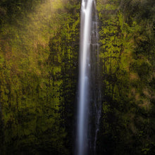 Load image into Gallery viewer, Akaka Falls Aloha
