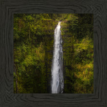 Load image into Gallery viewer, Akaka Falls, Hawaii
