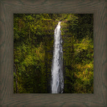 Load image into Gallery viewer, Akaka Falls, Hawaii
