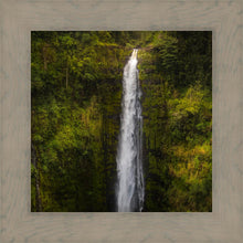 Load image into Gallery viewer, Akaka Falls, Hawaii
