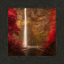 Load image into Gallery viewer, Multnomah Falls
